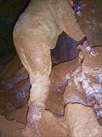 Выбора нет )